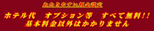 わかりやすい料金設定！ホテル代・オプション等全て無料！