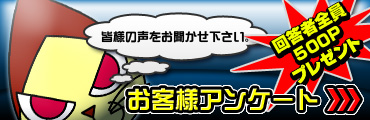 アンケートにお答えいただいたお客様全員に500ポイントプレゼント