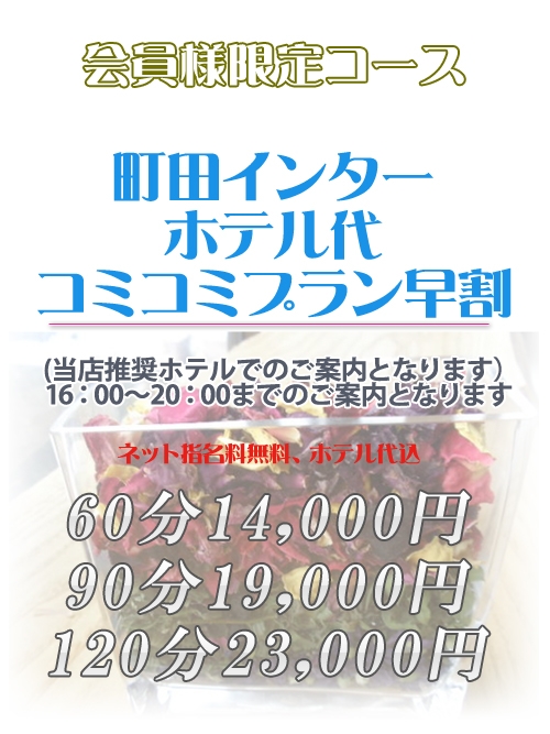 会員様限定コース！町田インターホテル代コミコミプラン 早割16:00～20:00