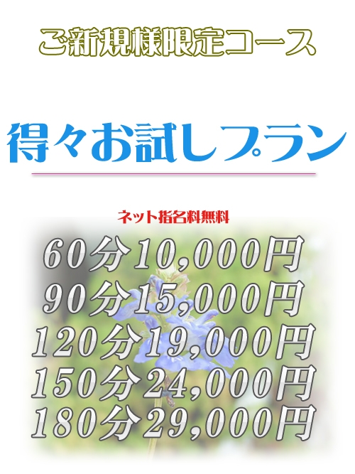 ご新規様限定コース！得々お試しプラン！ネット指名料無料60分10,000円