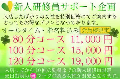 【新人研修員サポート企画】80分11,000円