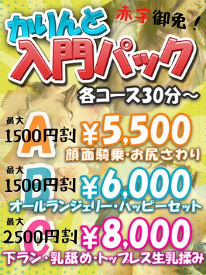 【かりんと入門パックコース】オプションの組み合わせで通常より最大2500円お得