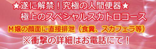 ☆ついに解禁！究極の肉便器☆極上のスペシャルスカトロコース