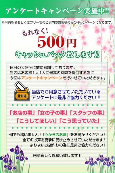 【アンケートキャンペーン実施中】500円 キャッシュバック