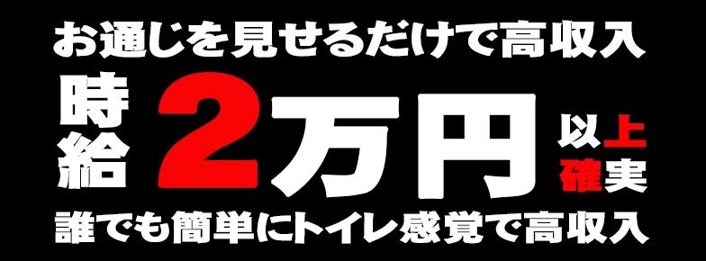 なんと時給２万円以上！ うんこバイト大募集