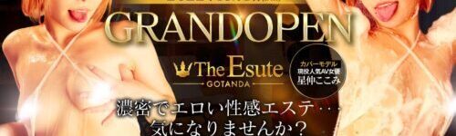 THE ESUTE 五反田店