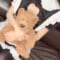 せいな