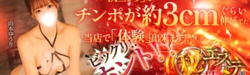 池袋㊙エステ～フル勃起～